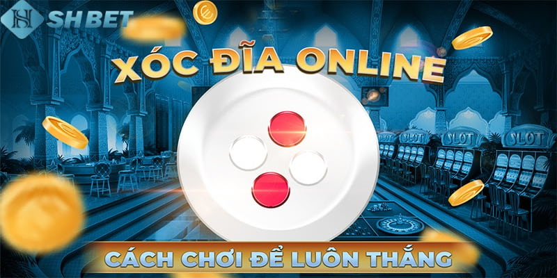 Cách bắt cầu xóc đĩa trúng giải cao dành cho newbie