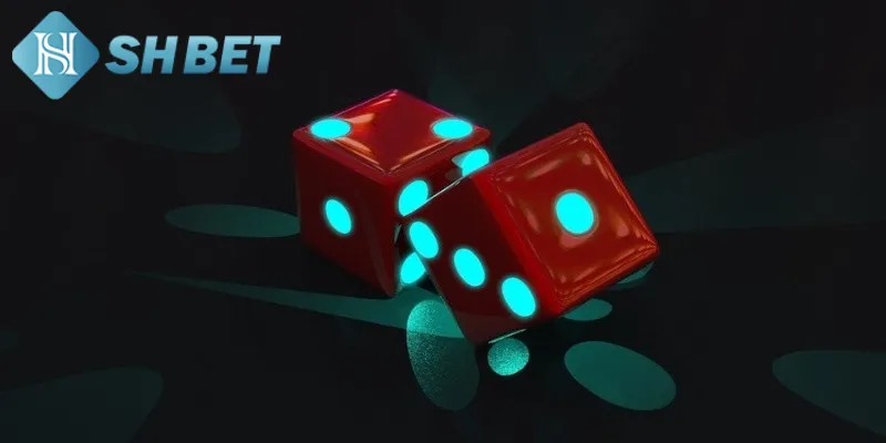 Một vài thông tin cơ bản cần biết về bắt cầu tài xỉu